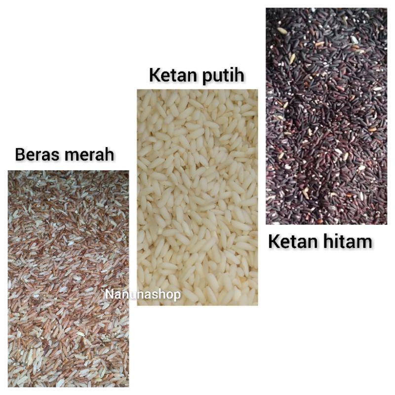 

Beras merah,beras ketan putih dan hitam kiloan