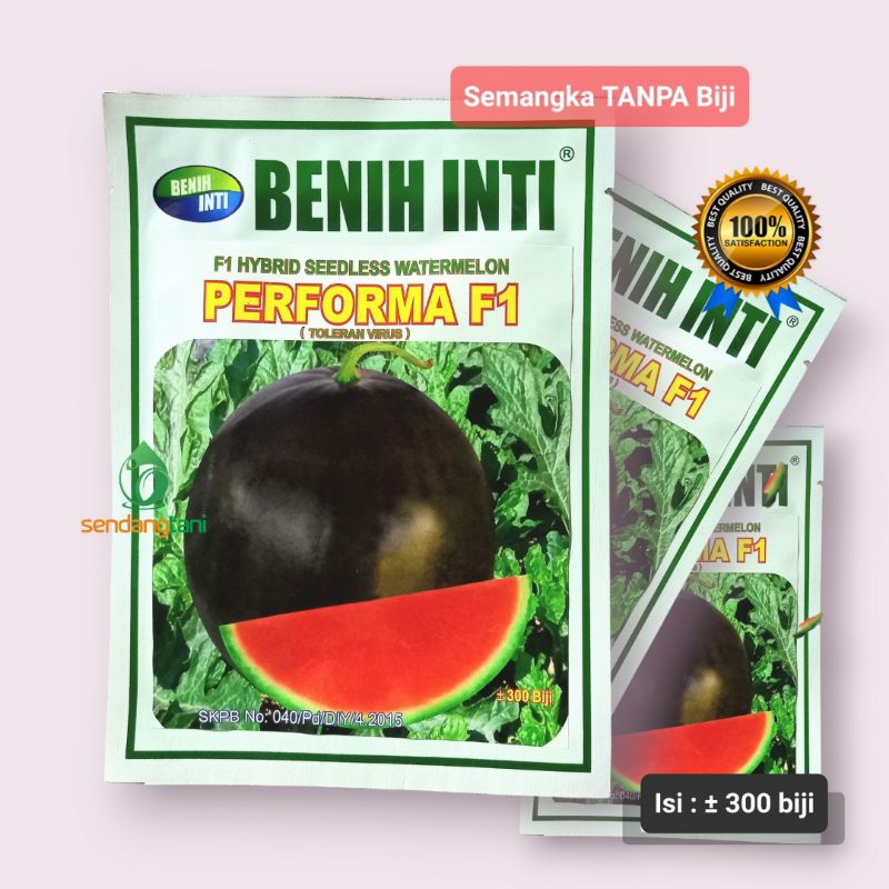 Semangka Tanpa Biji PERFORMA F1 Benih Bibit Semangka Merah Non Biji Benih Inti Tipe Madrid Amara