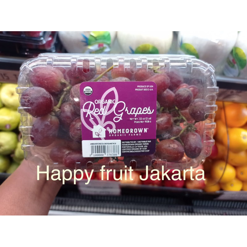 

Anggur Organik reed jumbo | Buah anggur red seedles pack USA