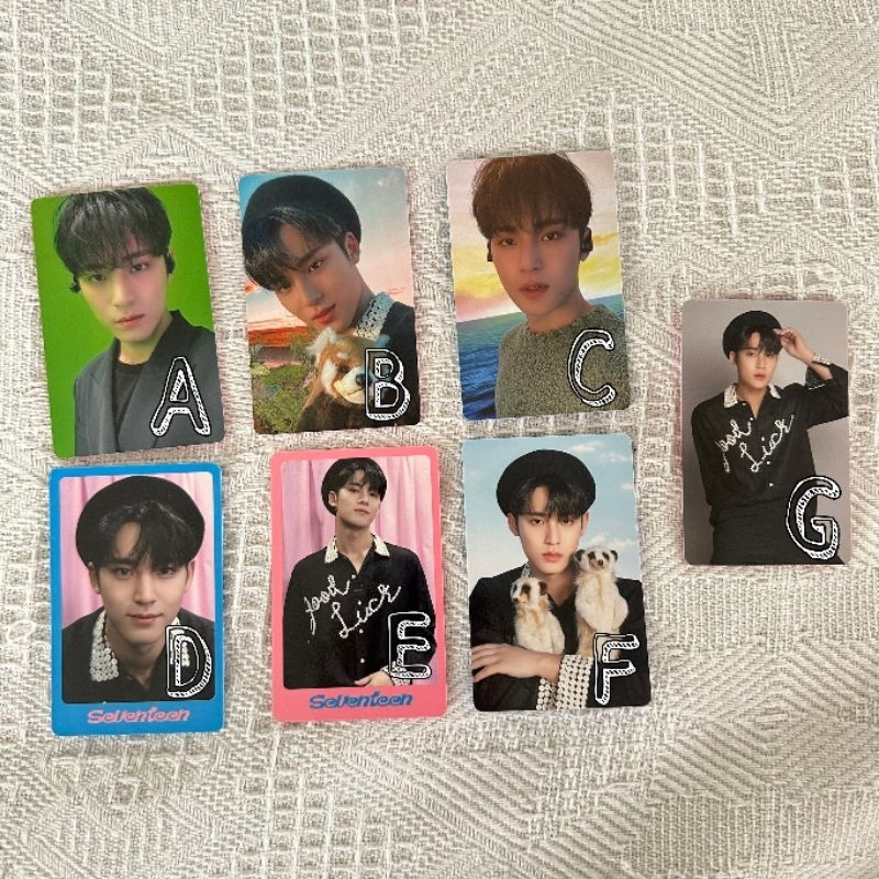 Dicon 102 Seventeen Kim Mingyu Photocard