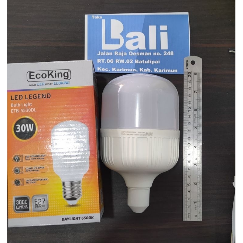 Lampu LED Ecoking 30W