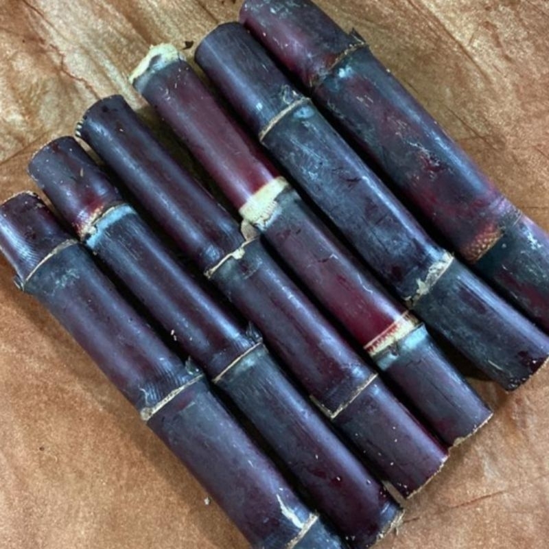 

RB22 Jual Tebu Hitam Per 1 Kg Herbal Alami
