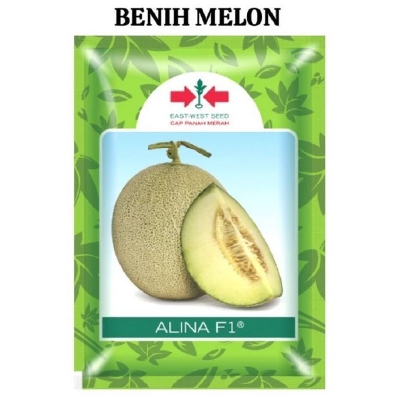 Benih Melon ALINA F1 ISI 40 BIJI