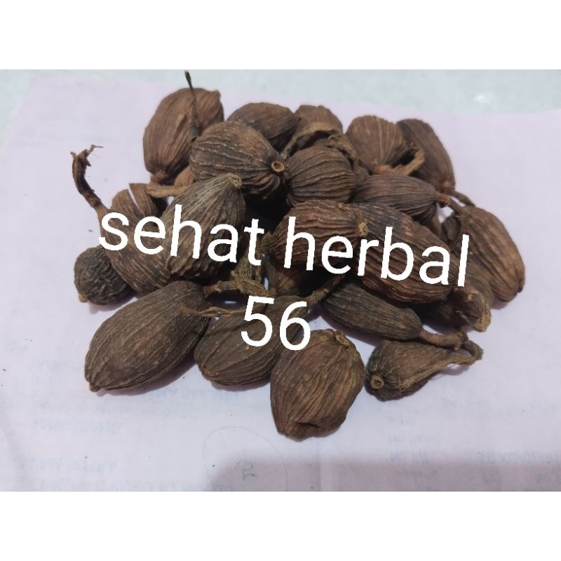 

25g cao Guo black cardamom kapulaga hitam tsaoko amomum fruit