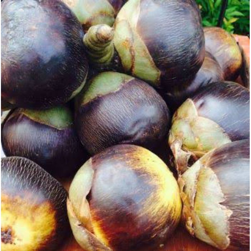 

BUAH SIWALAN / LONTAR 1 Buah Bulat ( isi 2-3 biji )