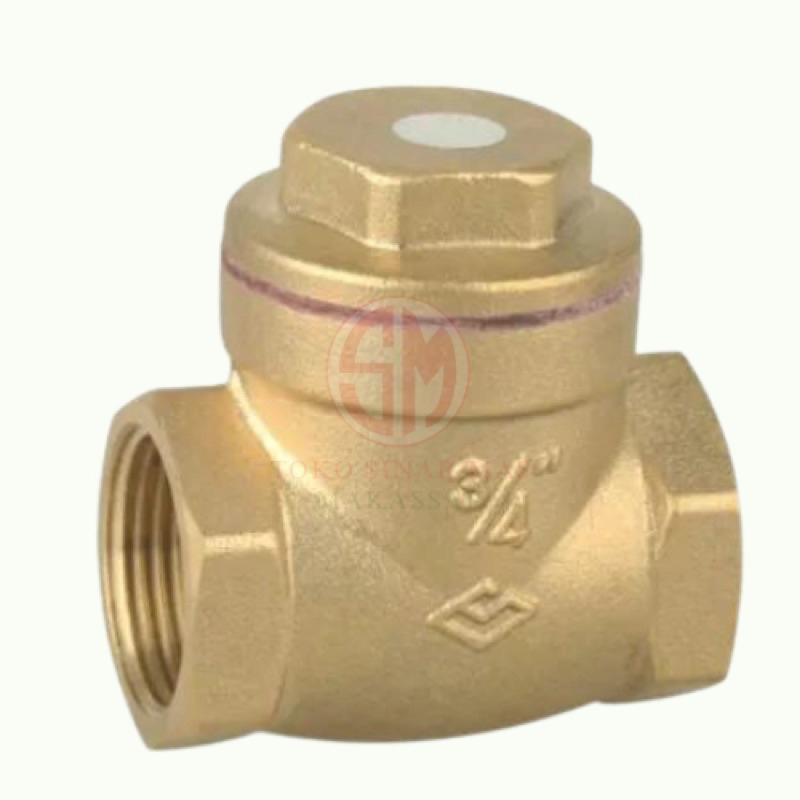 Check Valve 1/2” Sailing