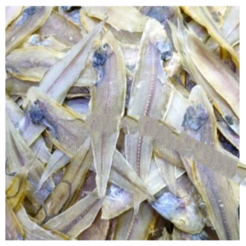 

Ikan Asin lidah 100 gr