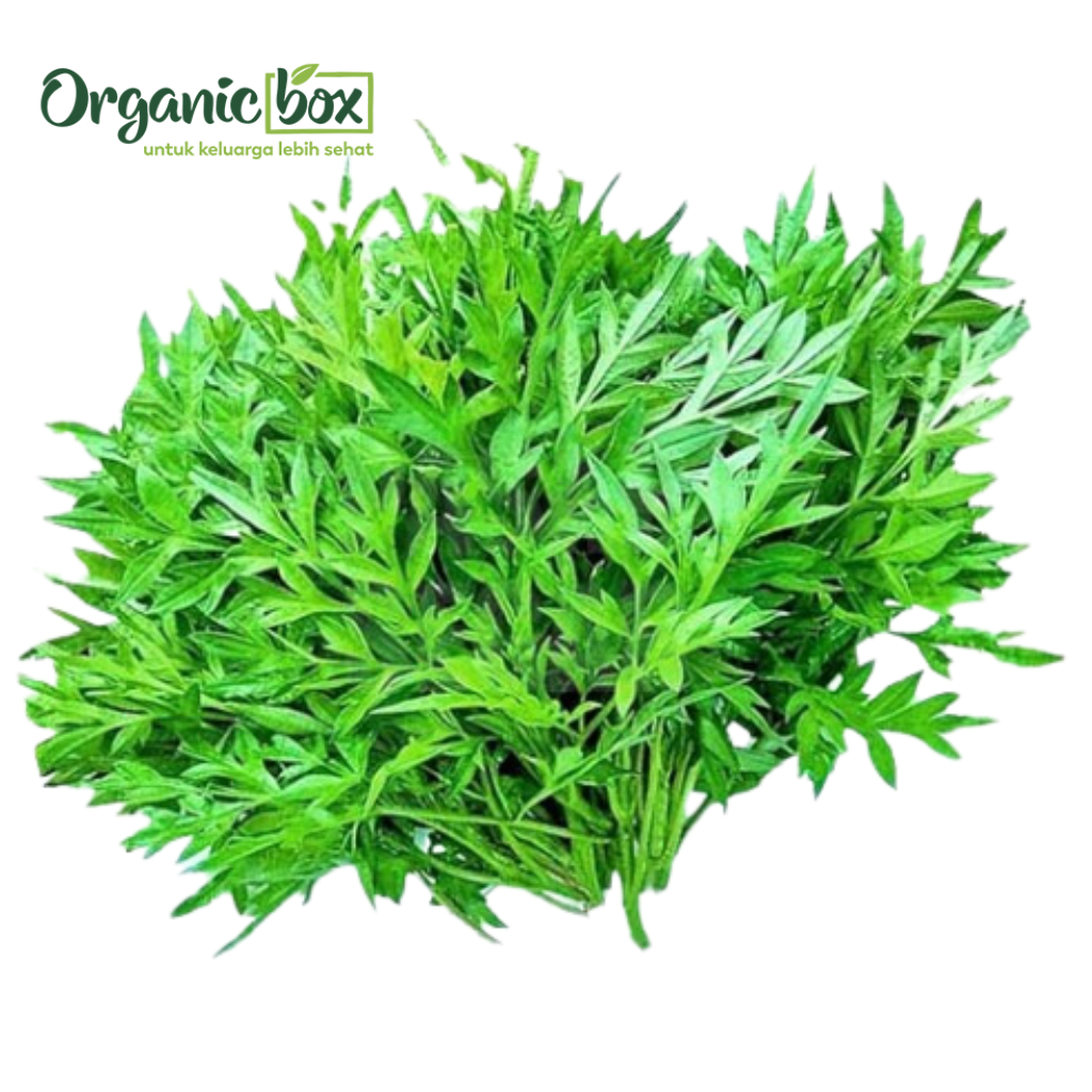 

DAUN KENIKIR ORGANIK 250GR Quality Farm