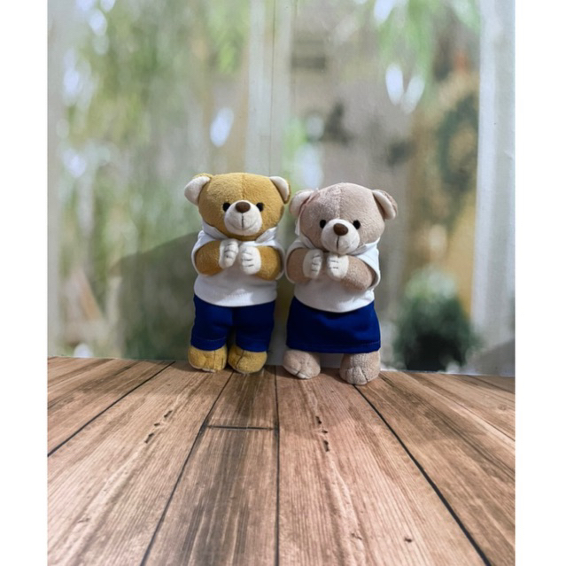 boneka teddy bear couple/teddy bear couple/teddy bear boneka couple/boneka berdoa/teddy bear berdoa/