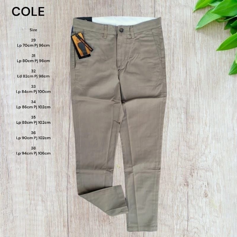 CHINOS COLE DEWASA COWOK