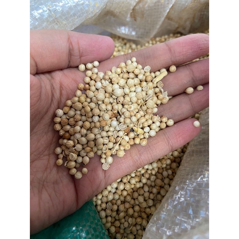 

Ketumbar Premium 1kg Asli