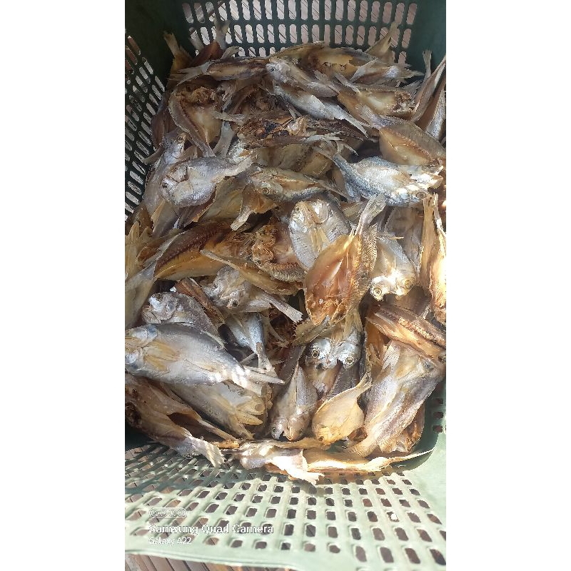 

ikan asin ikan laut campur