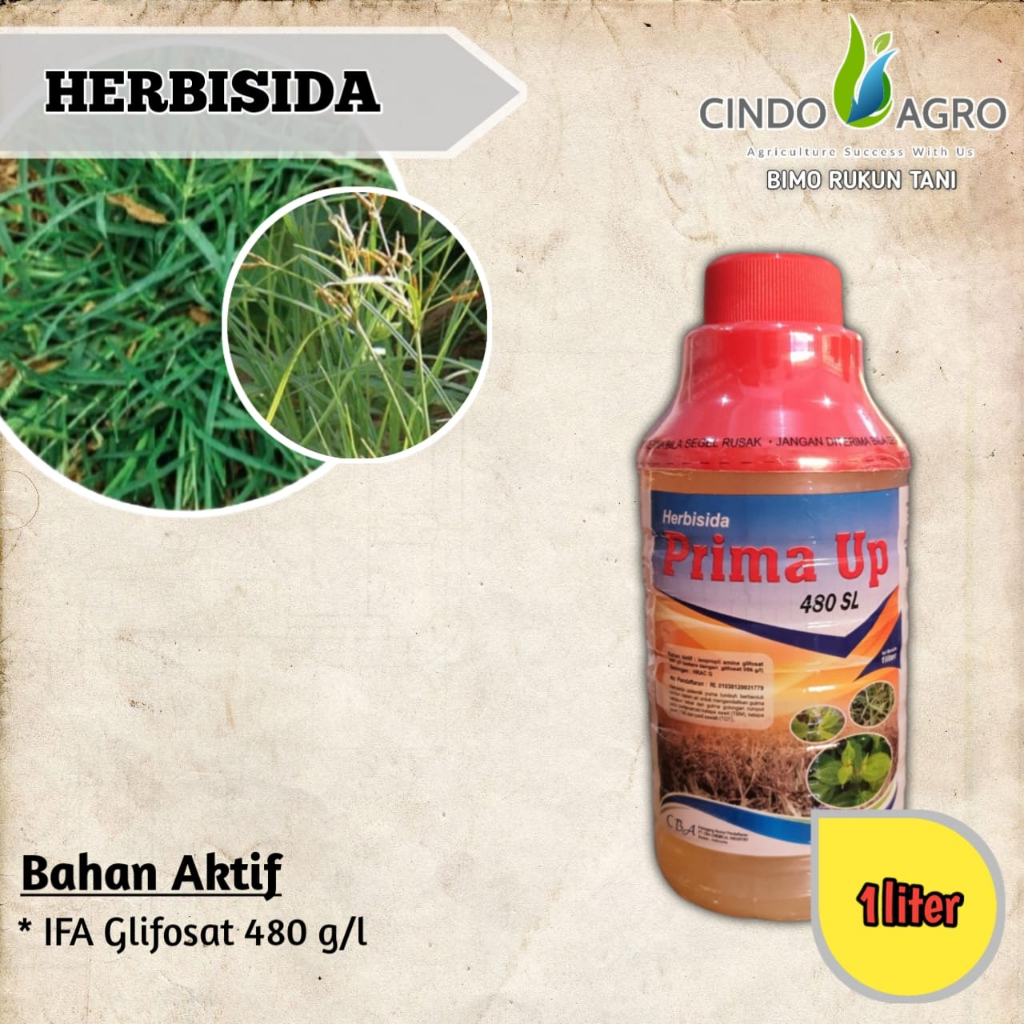 PRIMA UP 480 SL - 1liter