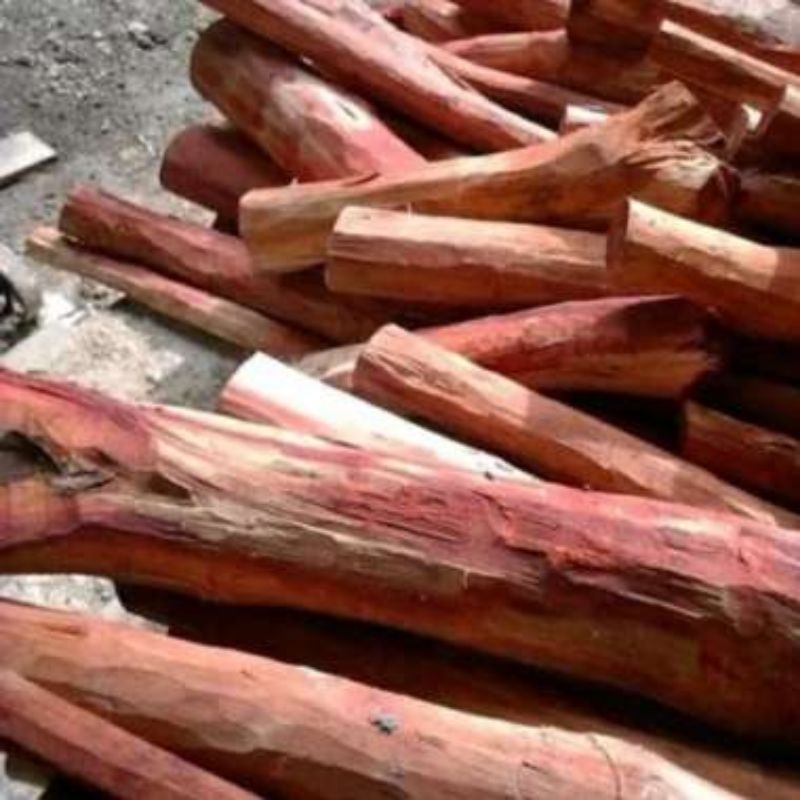 Tanaman secang kayu secang obat herbal secang 1kg.