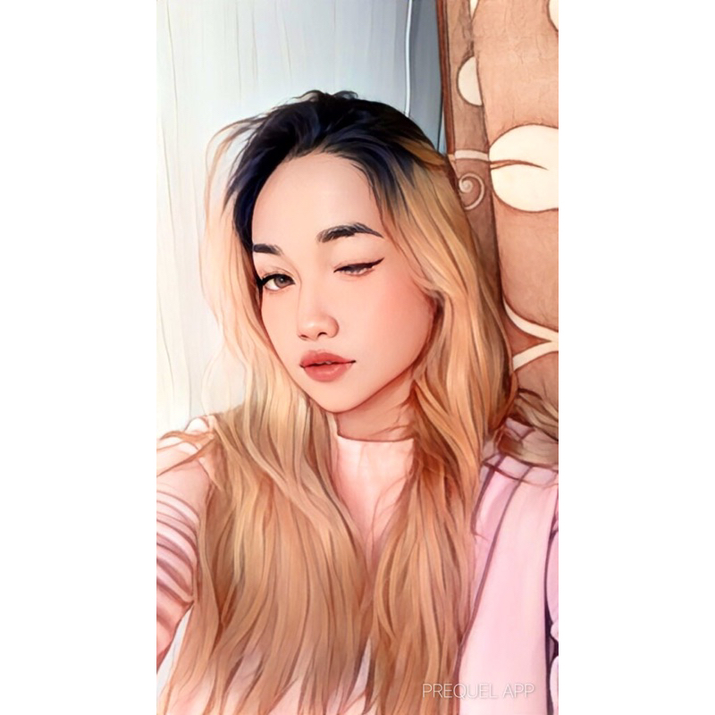 jasa edit foto kartun