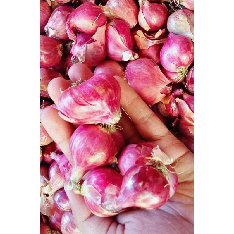 

BAWANG MERAH SUPER 1 KG