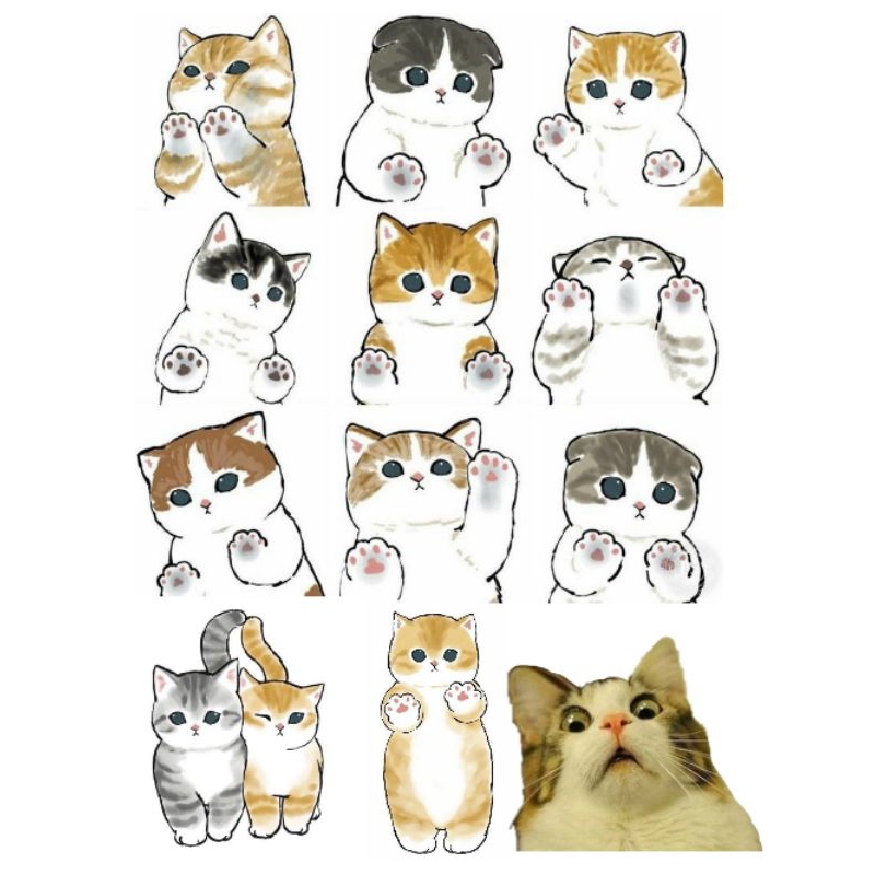 

STIKER KUCING || Sticker Glossy Aesthetic untuk journal & Scrapbook