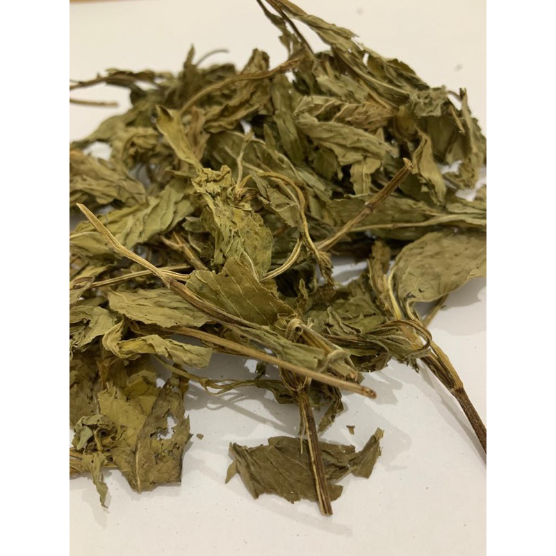 

Daun mint /bo he ye/menthol