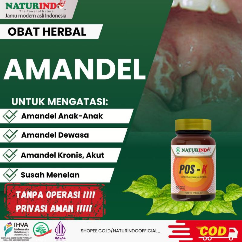 Obat Amandel Anak Anak Amandel Dewasa Spesialis Pembengkakan Amandel Kronis Amandel Akut Susah Menel