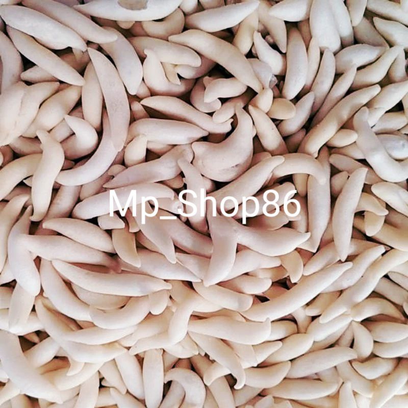 

Kue Gabus Keju Special