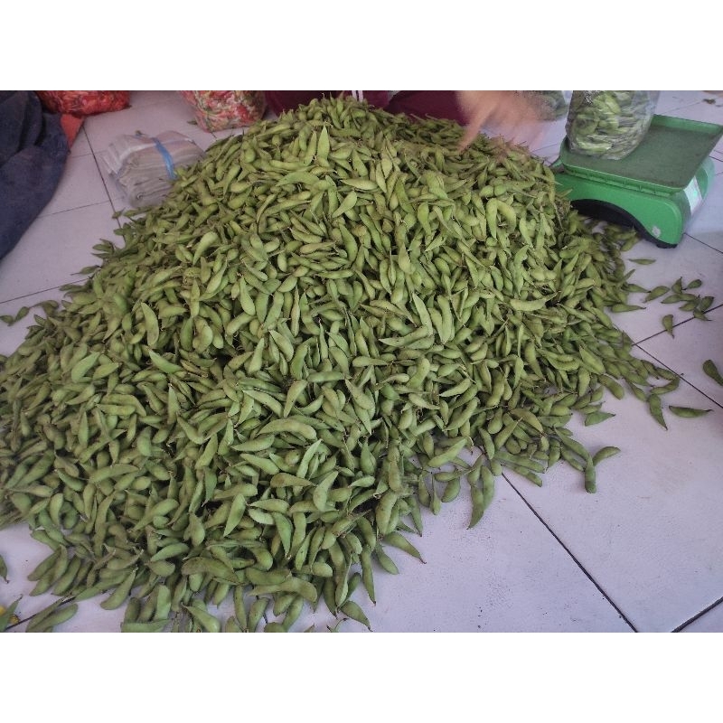 

Edamame ( kedelai jepang ) 500gr