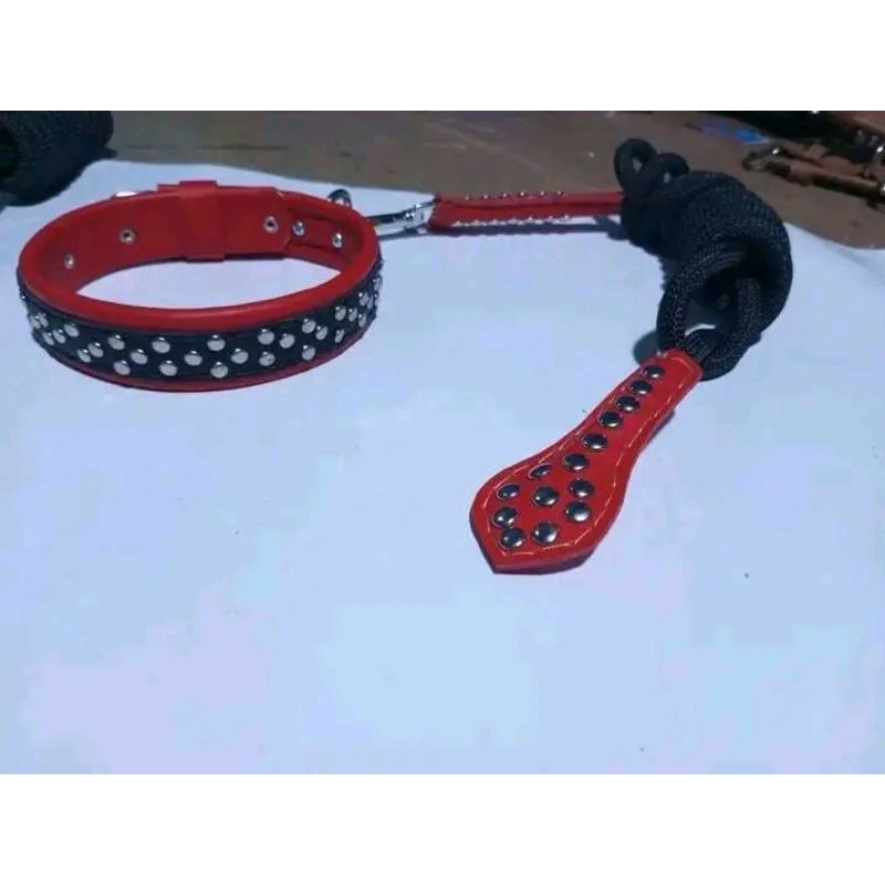kalung anjing,tali anjing,satu sett,kalung anjing satu set