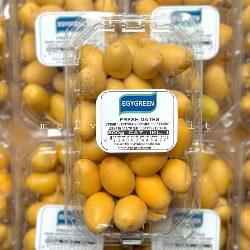 

KURMA MUDA RUTHOB KURMA SEGAR PROMIL 500gr