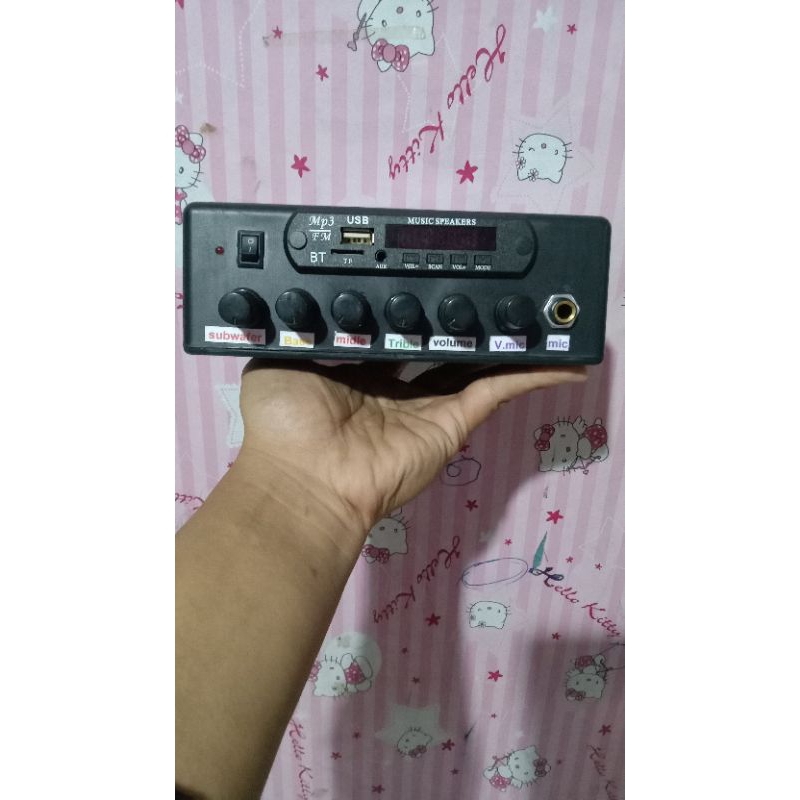 amplifier 12 v AC/DC