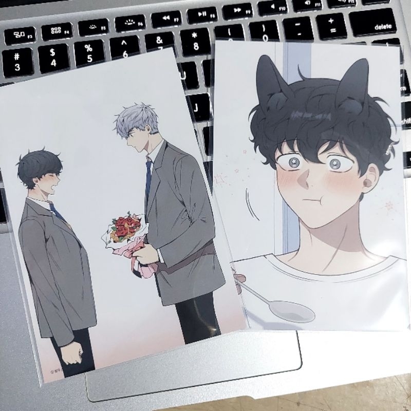 [READY STOCK] OFFICIAL MERCH PBOX & POSTCARD TOONIQUE X CHERRY BLOSSOM AFTER WINTER (CBAW)