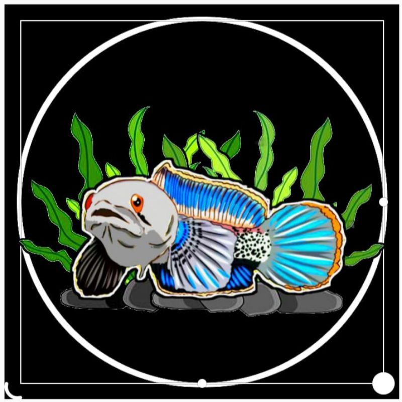 

sticker blue pulchra 8-9