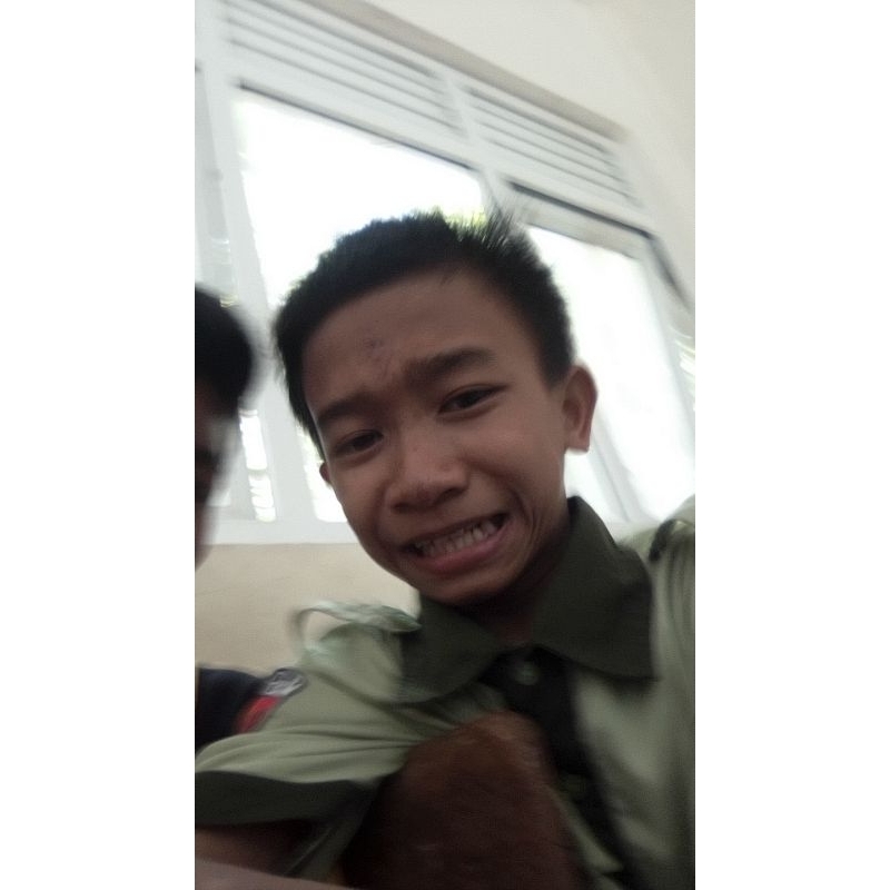 musang kopling + kandang murah