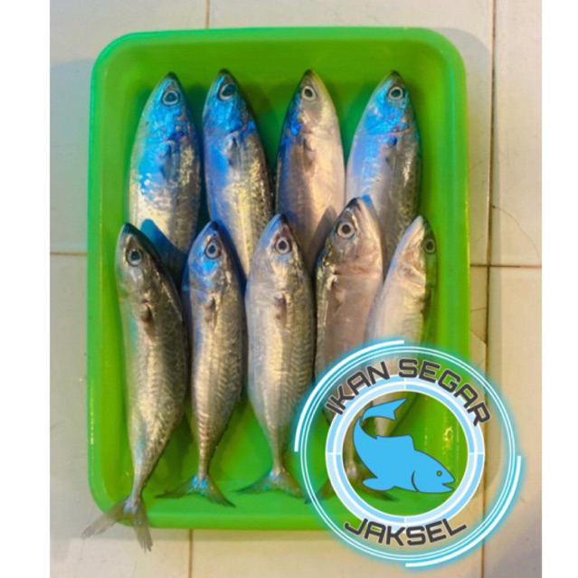 

Ikan Kembung Banjar Segar dan Fresh