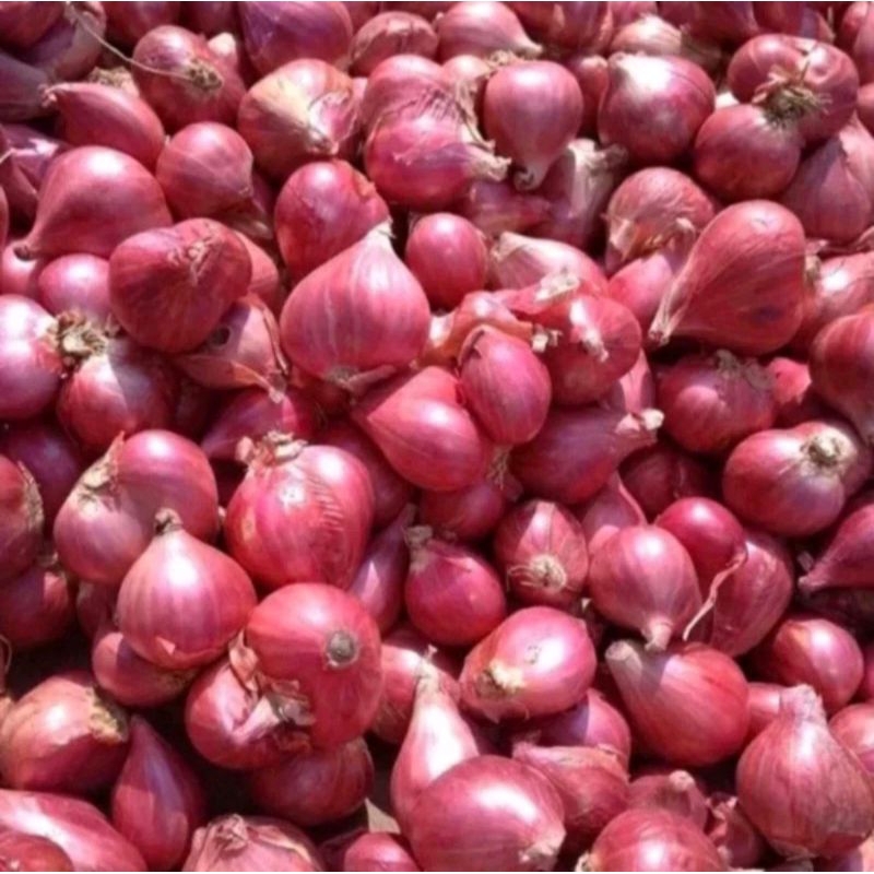 

Bawang Merah Kualitas Super