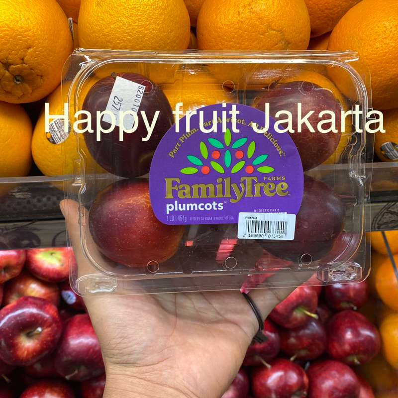 

Plum red sweet family tree | Plum merah usa pack 454grm