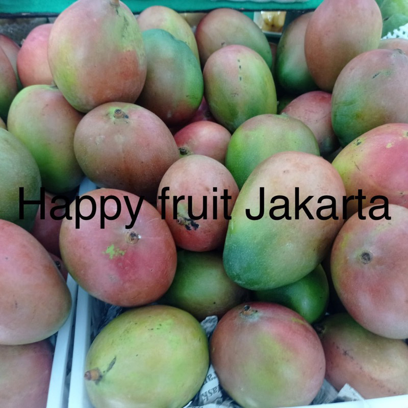 

Melon kimoji sweet | melon kimoji daging lembut manis 1,4 kg