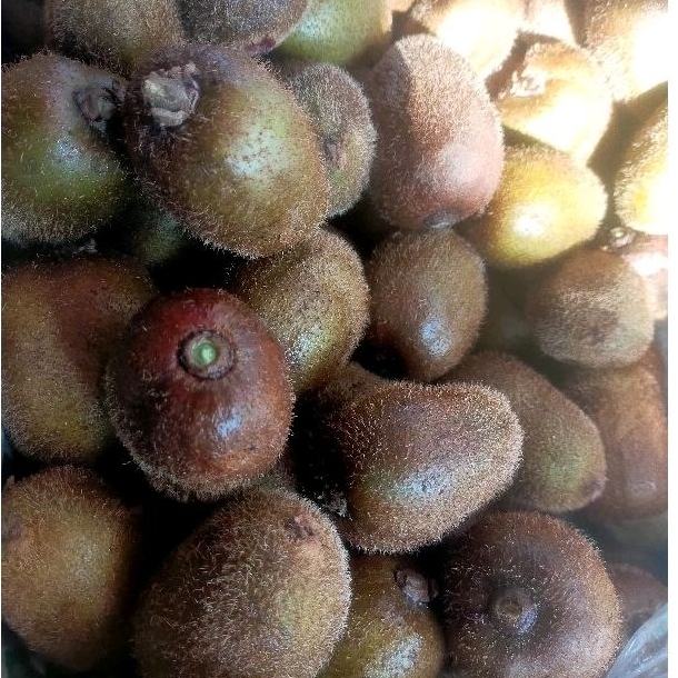 

buah kiwi