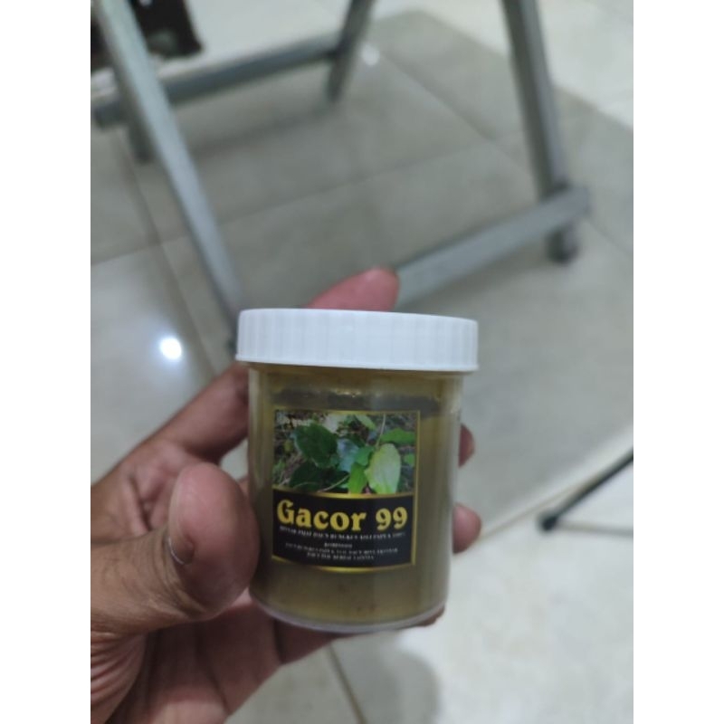salep daun bungkus papua 100gr
