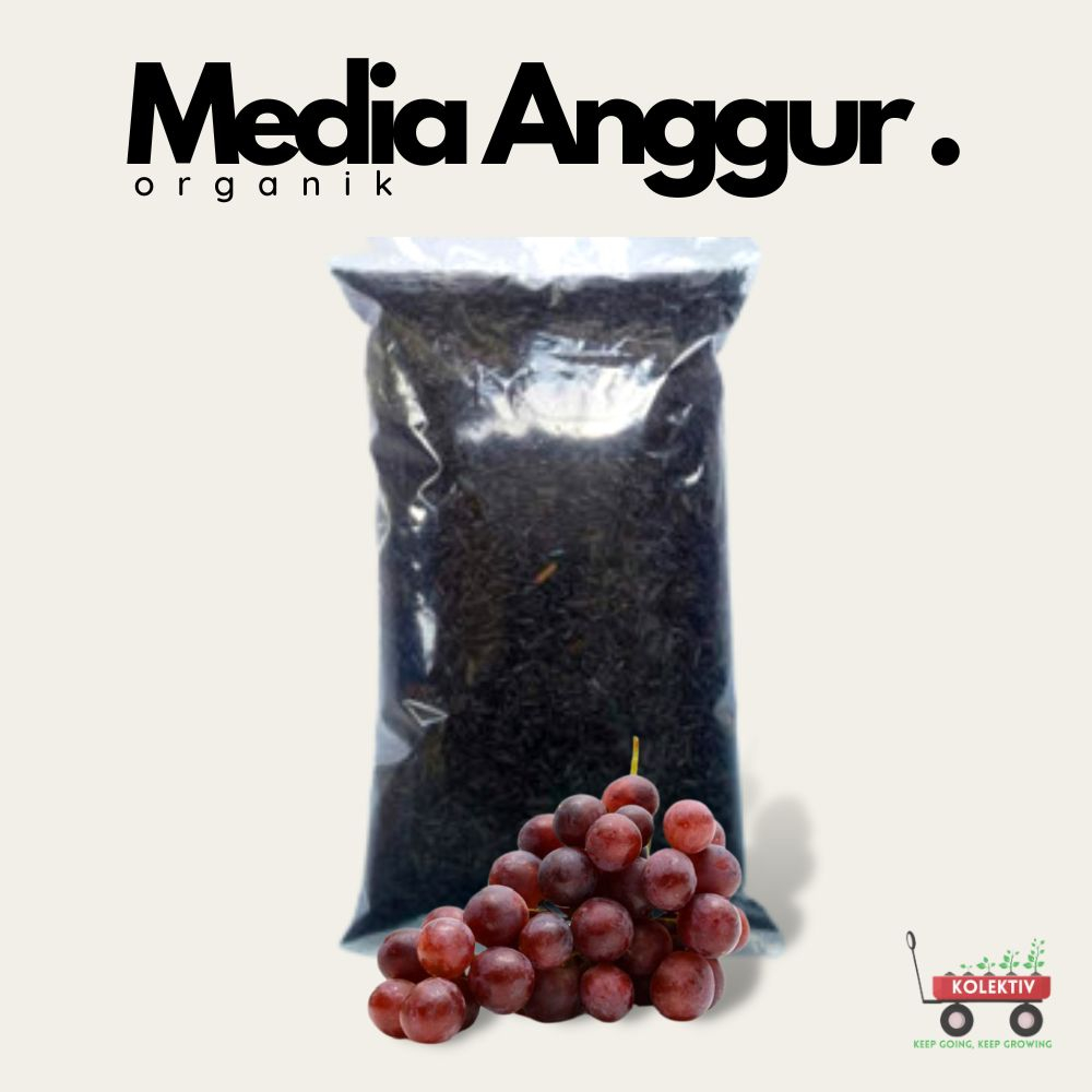 Media Tanam Anggur