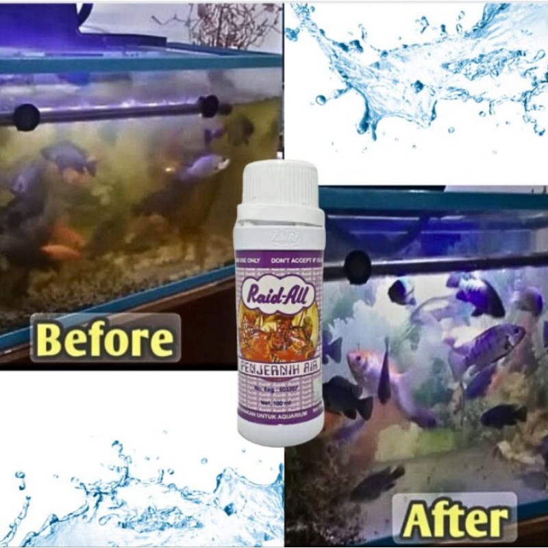 Obat Ikan RAID ALL CLEAR / Penjernih Air 100ML