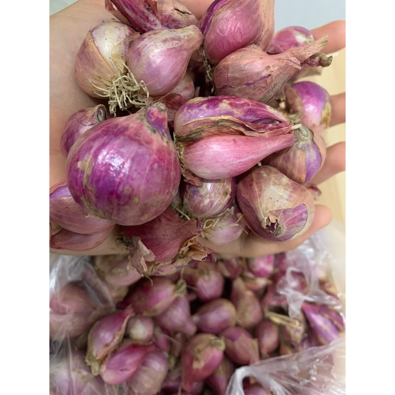 

BAWANG MERAH SUKOMORO 1KG