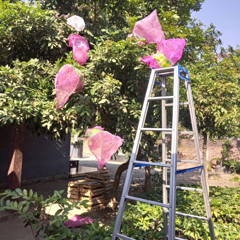 Karung bawang / pembungkus Buah kelengkeng - Brongsong Kelengkeng