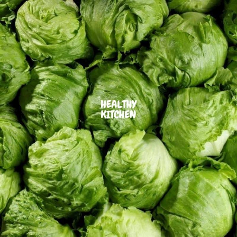 

SAYUR LETTUCE HEAD 500 GR