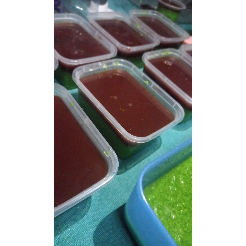 

Puding coklat lumut