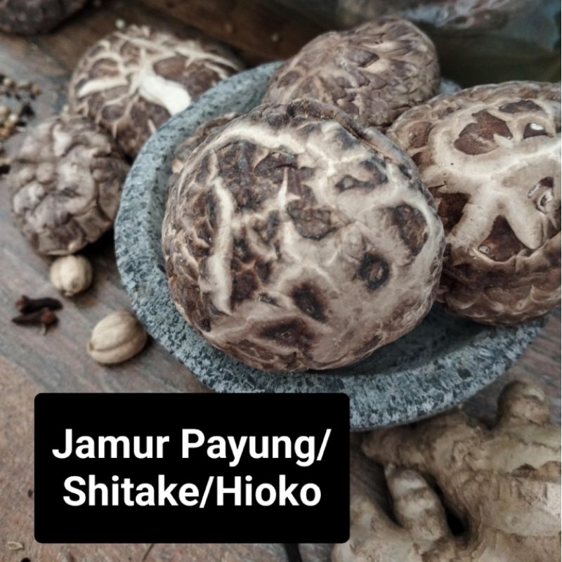 

Jamur Payung/Shitake/Hioko