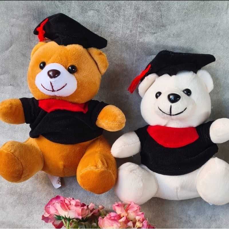 

Boneka Wisuda Besar / Boneka Graduation Big