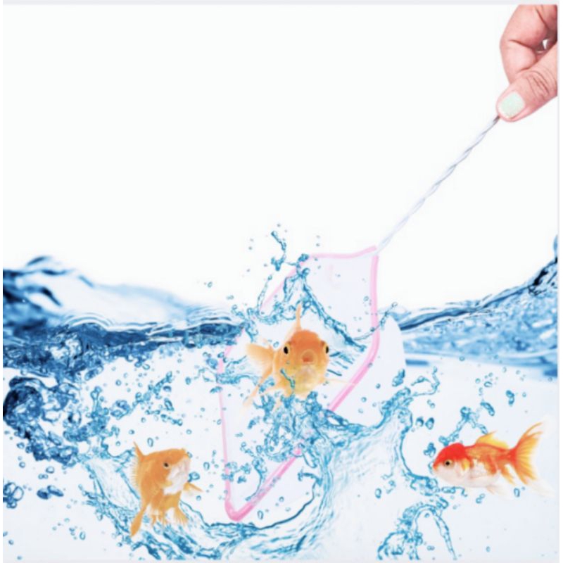 Promo Murah Serok Ikan Seser Ikan 12cm Merk 555