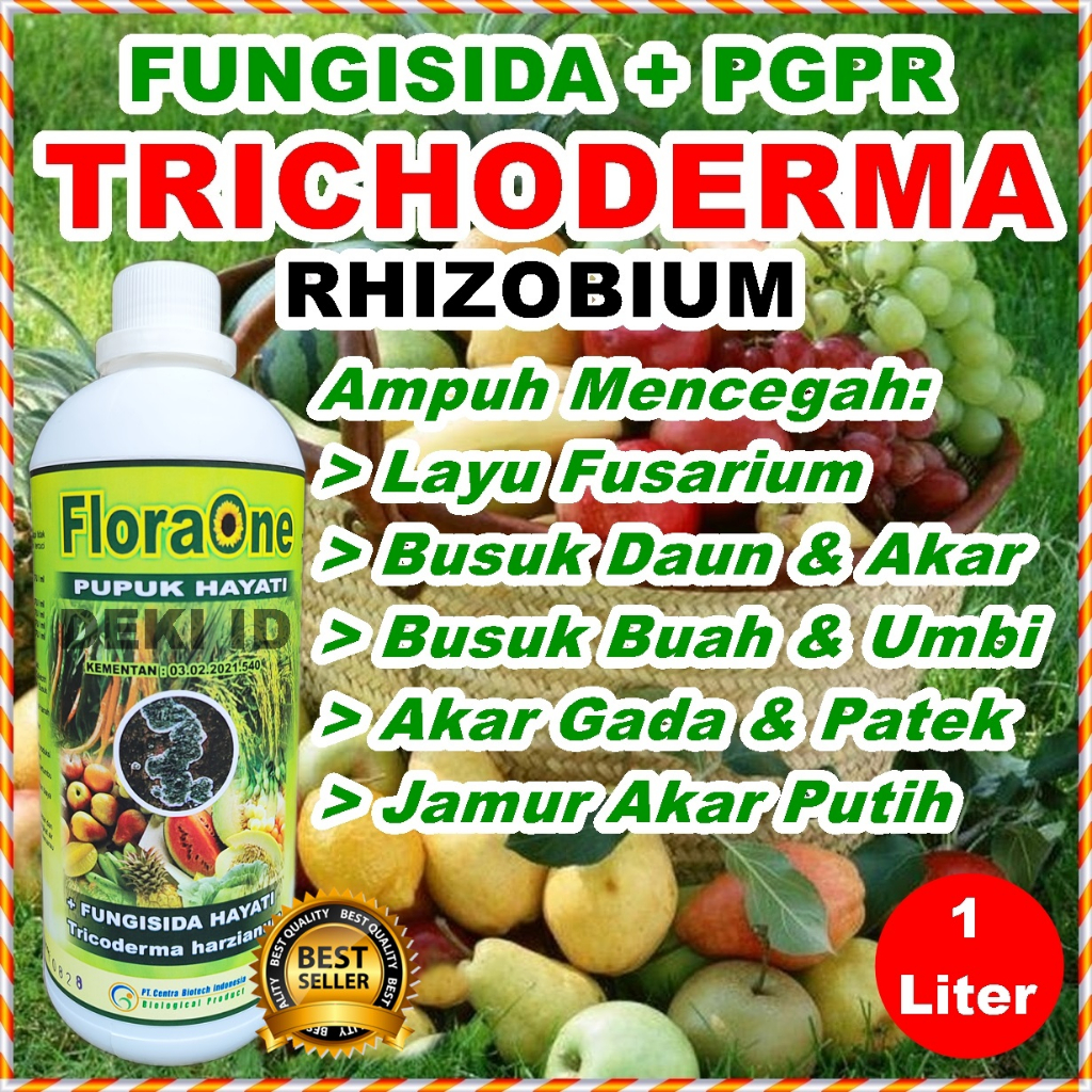 Tricoderma Cair Fungsida Plus Pgpr Rhizobium Floraone 1 Liter Trichoderma Pestisida Hayati Pupuk