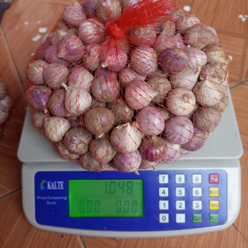 

BAWANG putih Tunggal | 1 kg , KECIL, SEDANG