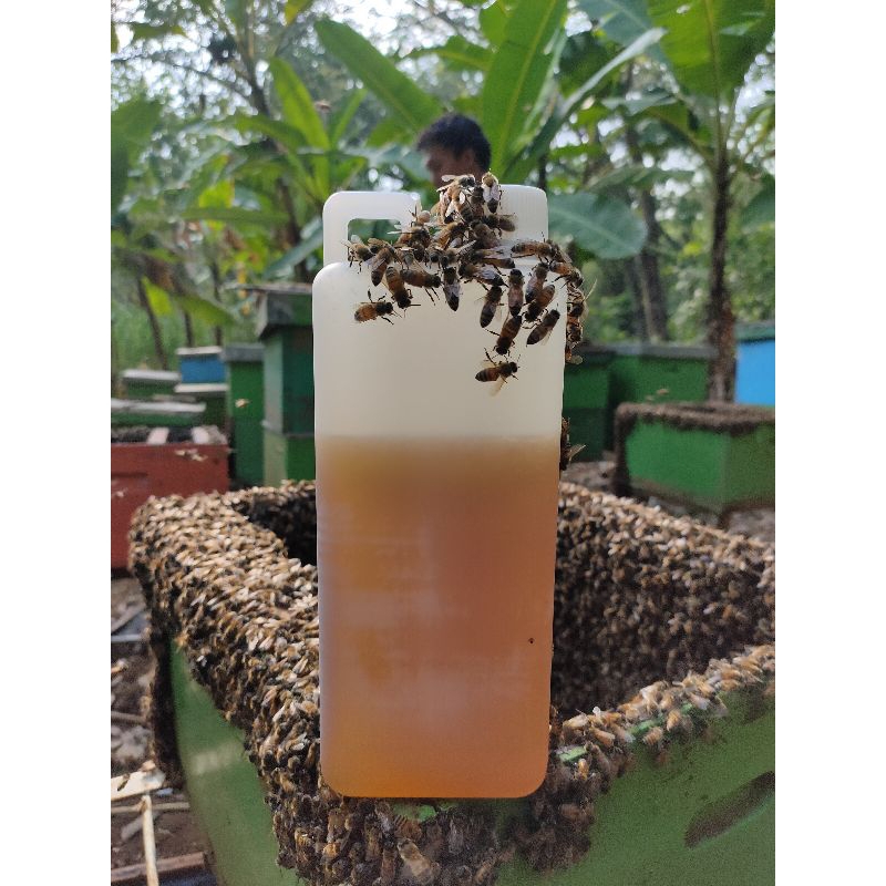 

LEBAHMADU id - Madu Multiflora 1000 gr/1kg Madu Asli Original