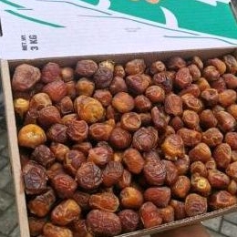 

Kurma Sukari